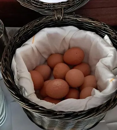 Ξενοδοχείο Admiral Scheer 3*